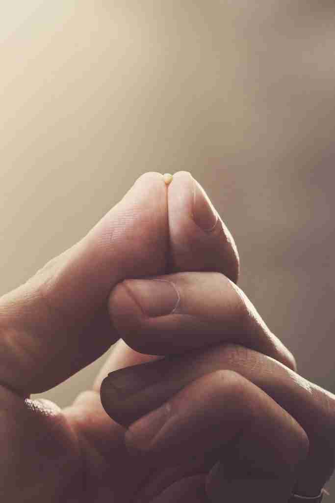 2 Valuable Lessons About No Faith No Power